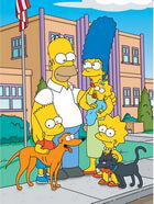 The Simpsons / The Simpsons ( )